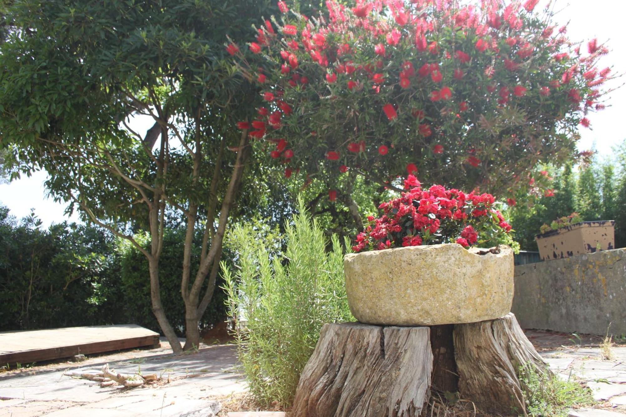 Senhora Da Paz Lisboa Holiday home *